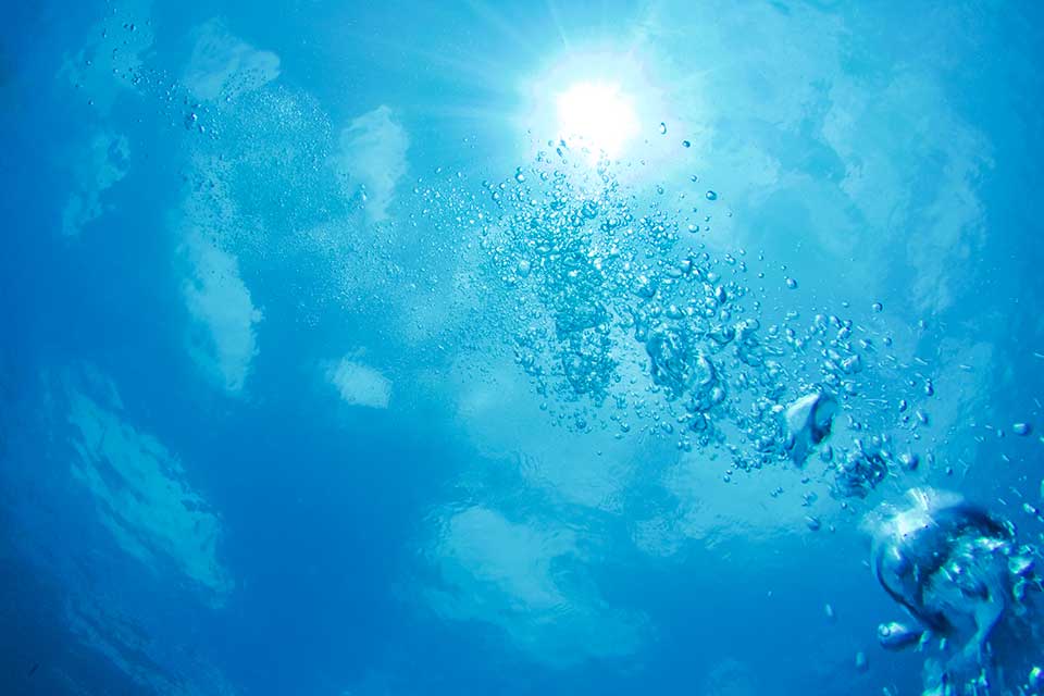 体験ダイビングで水中カメラを使いこなす